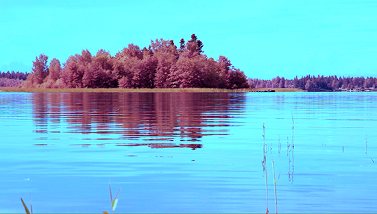 Robert Back, Still 3