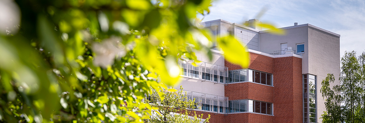 Lapin yliopiston päärakennus kesällä.