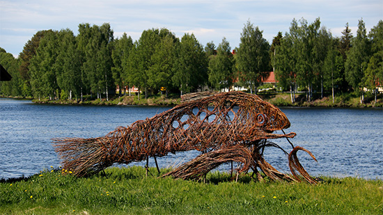 Lohi pajuveistoksena Kemijoen rannalla. Kuva: Maria Huhmarniemi.