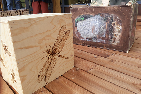 Kesälukio kuva 1_1 web.jpg