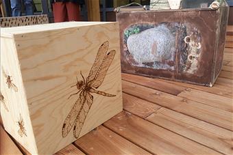 Kesälukio kuva 1_1 web.jpg