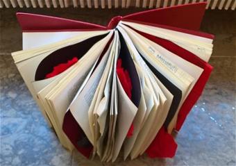 Sanni Astikaisen teos ”Salaisten seikkailujen kirja”