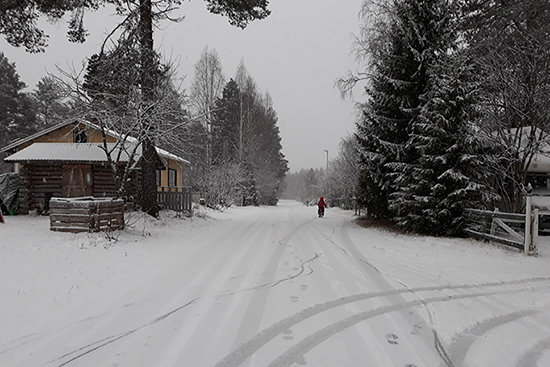 tracks in the snow Strauss-Mazullo Hannah.jpg