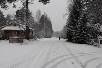 tracks in the snow Strauss-Mazullo Hannah.jpg