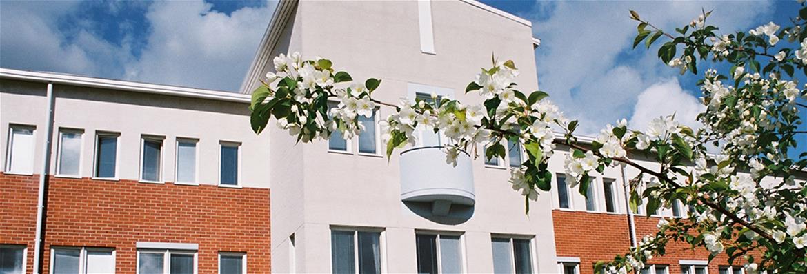 Rehtori ja vararehtorit