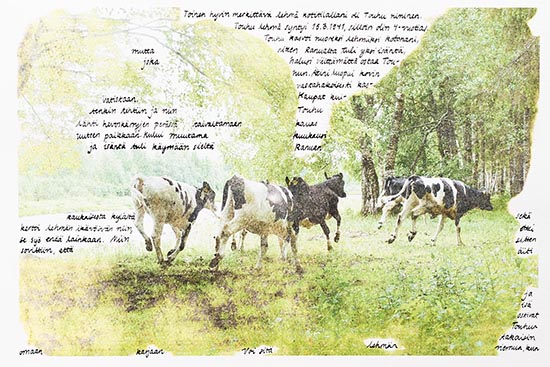 Mari_ Parpala_Touhu_s.jpg