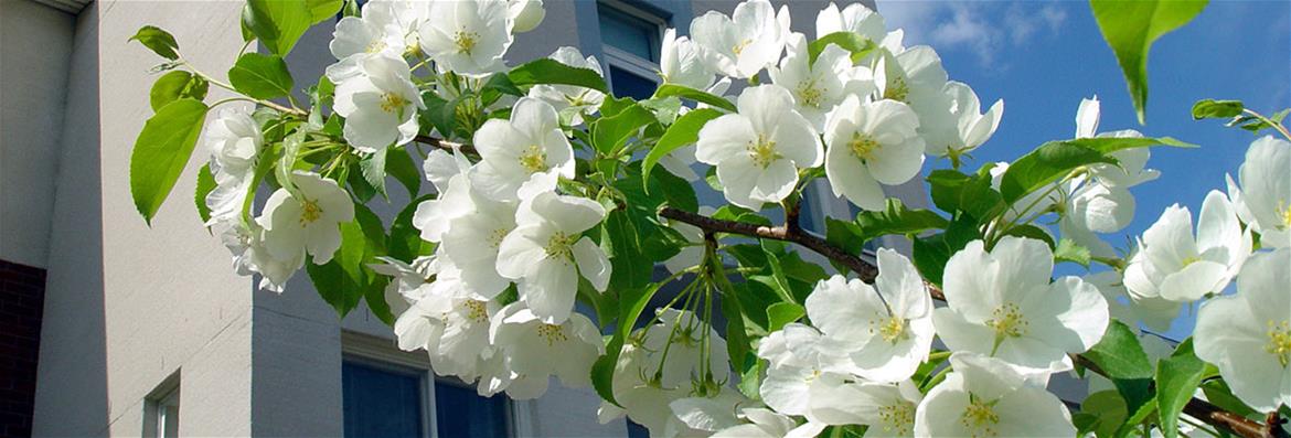 Tiedekunta onnittelee valmistuneita