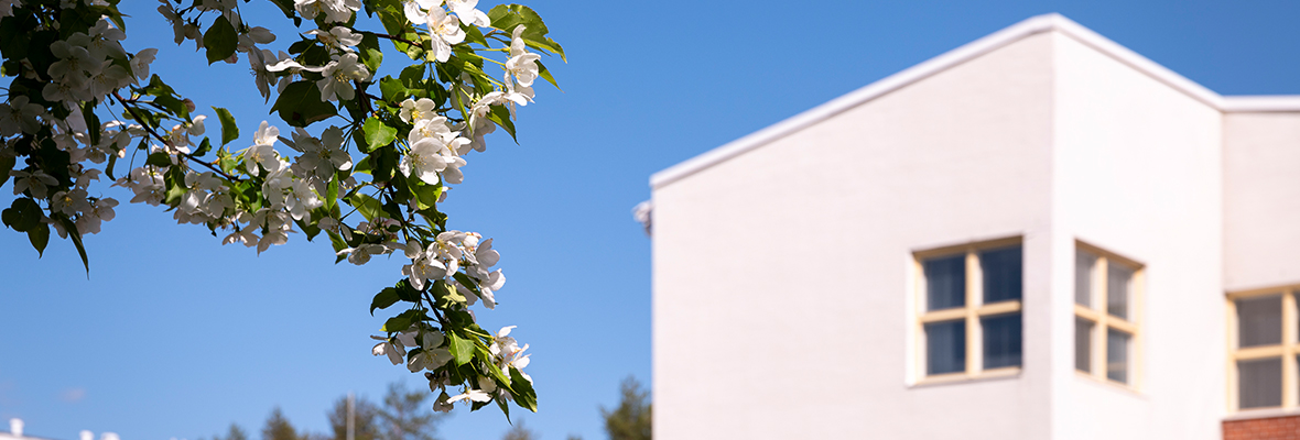 Yliopistorakennus ja omenapuu