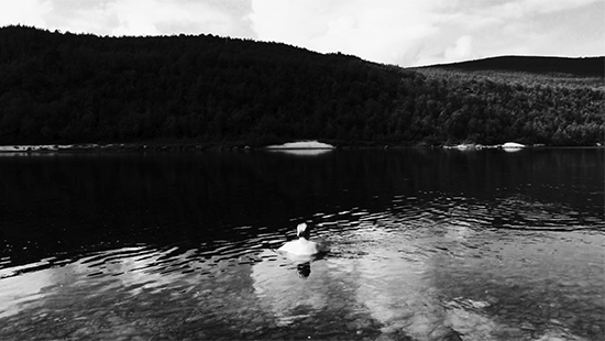 Valokuva: Taina Kontio, Poetic Peripheries -hanke