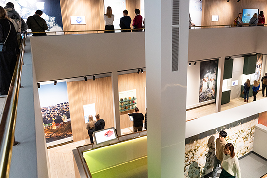 Vaalea puoli_web.jpg