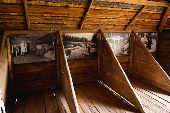 Vanhan navetan karsinat, joiden takaseinällä Meän lapinlehmä -näyttelyn valokuvia. Kuva: Inka Holck.