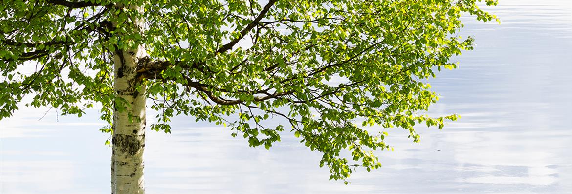 Yhteystiedot ja aukioloajat