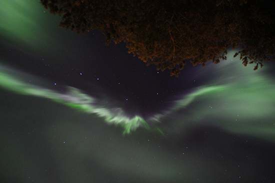 OTAVA_Ari Laakso_550x367.jpg