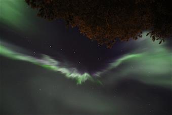 OTAVA_Ari Laakso_550x367.jpg