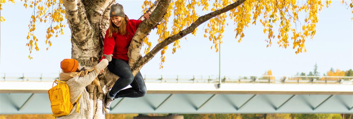 Yhteystiedot hakijalle