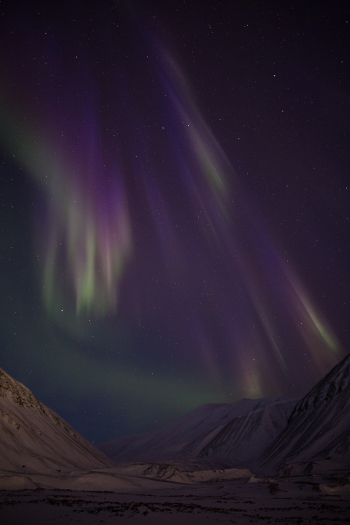 VuodenRevontulikuvakilpailu_AnttiJussiPyykkönen 2 sija.jpg