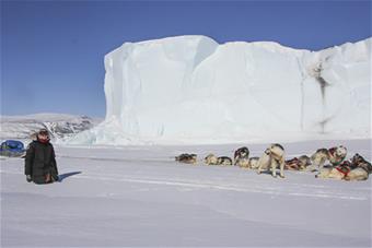 Rekikoiria lumisessa maisemassa.