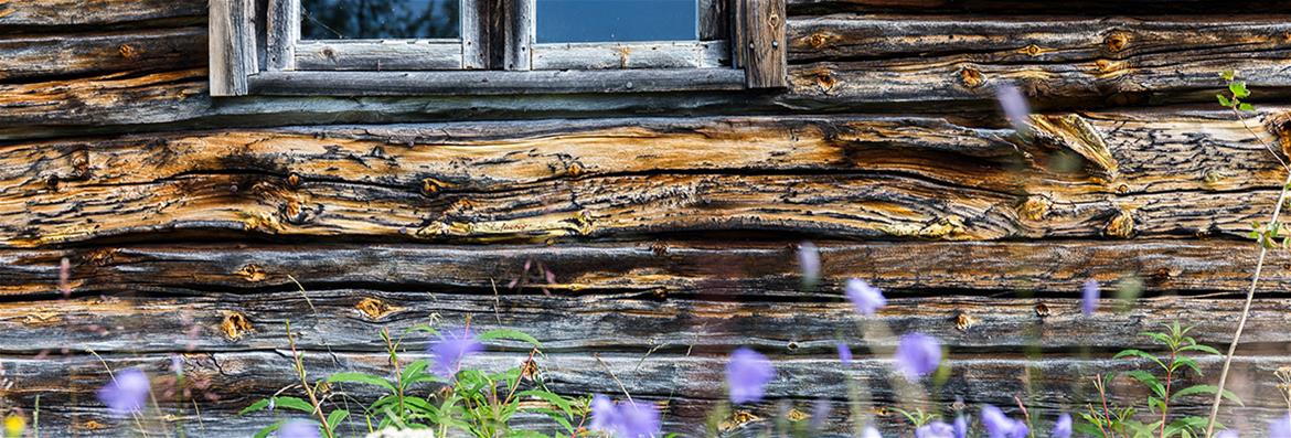 SoMá-opintokokonaisuus