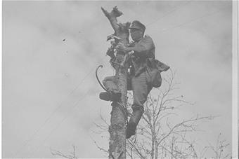 Mustavalkoinen kuva, jossa mieshenkilö on kiikkunut puuhun ja ripustaa siihen lankoja. 