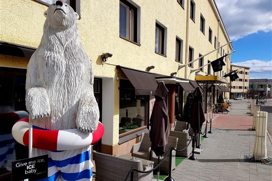 Valtakadun jääkarhun kesälook_vaaka.jpg