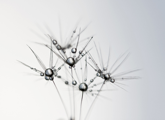 Palloja ja piikkejä Olli Aalto_web.jpg