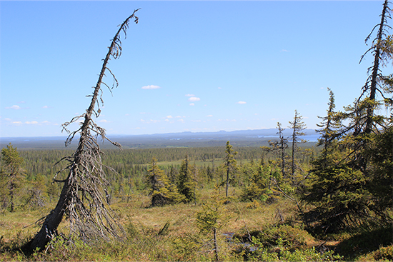 Webinaari 180424.jpg