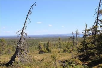 Webinaari 180424.jpg