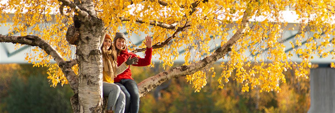 Tervetuloa valintakokeisiin
