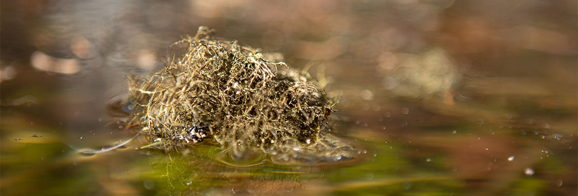 Kuva: Antti Pakkanen Photography