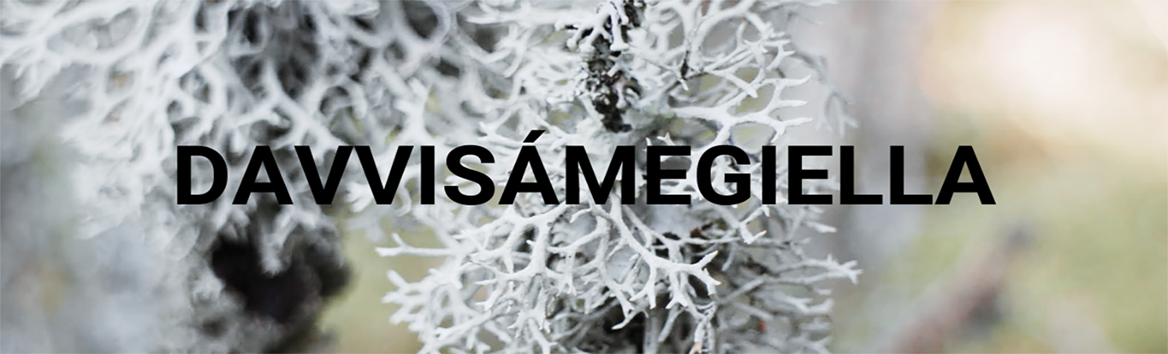 Pohjoissaamenkielisen materiaali.png