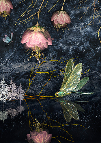 Leena Raappana-Luiro: Midsummer Eve. 2016. Skannaus, Photoshop. 60 x 42 cm