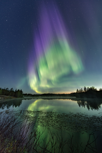 VuodenRevontulikuvakilpailu_ThomasKast sija 3.jpg