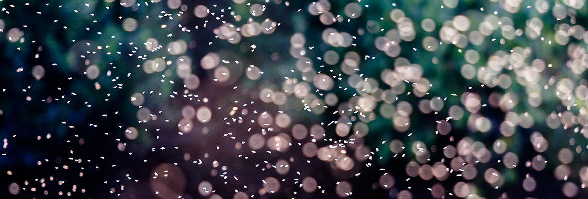 Yliopiston taloutta esittelevälle verkkosivulle