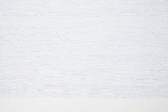 Iiris Perkkiö: Yksityiskohta teoksesta Vain aikaa, kuulakärkikynä, 2015–2016, kuva: Iiris Perkkiö