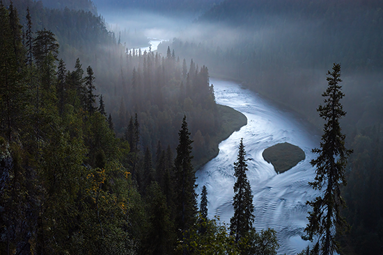 Usvainen virtaava joki hämärän metsän keskellä.