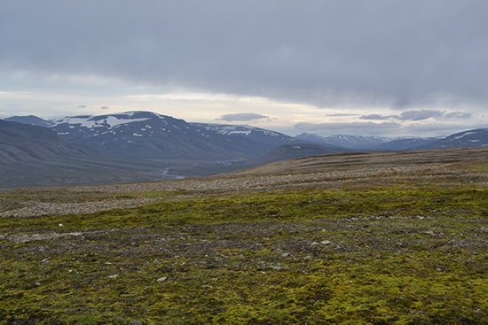 24.9. Tundra_Markku Heikkilä.jpg