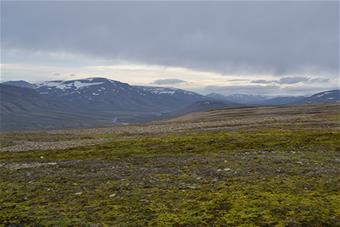 24.9. Tundra_Markku Heikkilä.jpg