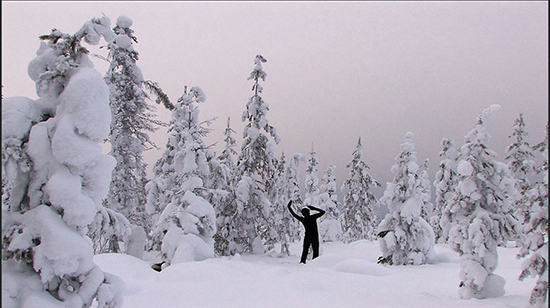 Cherie Sampson_web.jpg