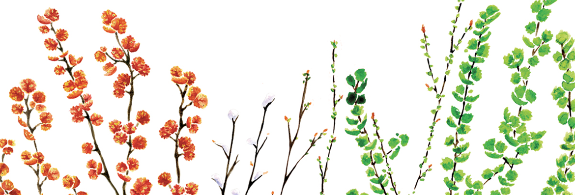 Valmistumisen jälkeen