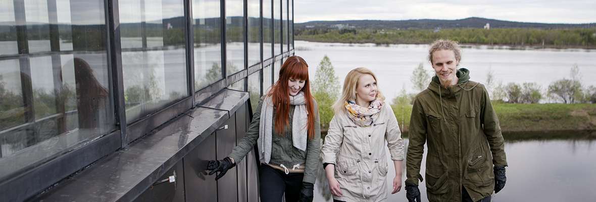 Lyhty-ainejärjestö