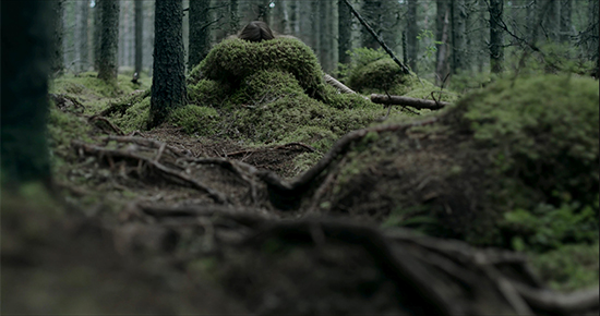 Kuva Kristiina Koskisen lyhytelokuvasta Metsän määritelmä. Kuvassa metsän kasvillisuutta maan tasalta kuvattuna, muun muassa puiden juuria ja sammalmättäitä.