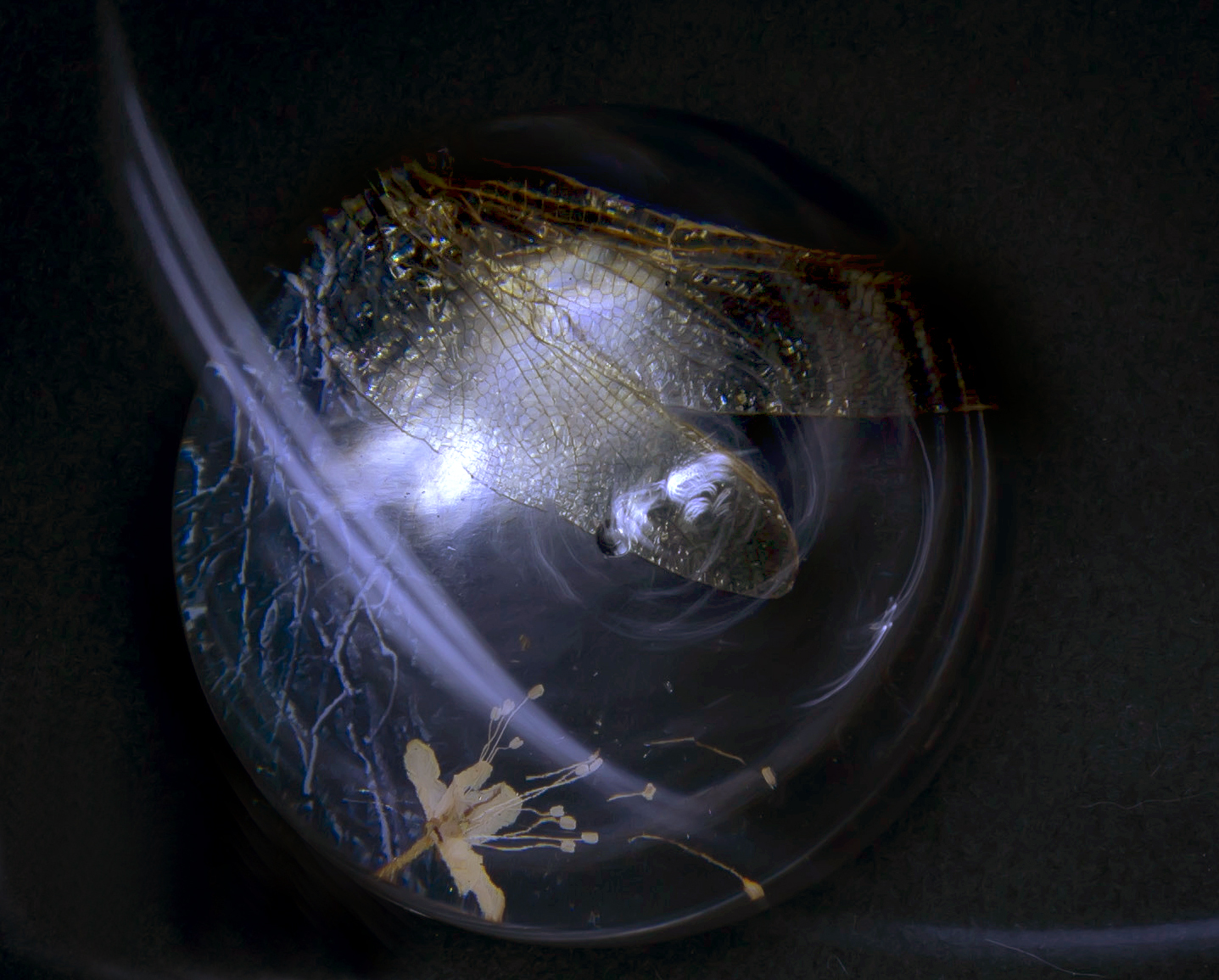 Kuva 2 Yksityiskohta Satumetsä näyttelystä_ Mari Mäkiranta.jpg