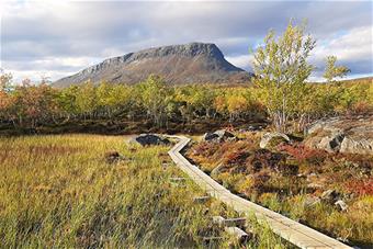 Kuvassa Saana-tunturi syksyllä.