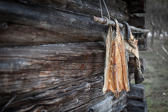 Kuvassa kuivattuja haukia roikkumassa seinältä. 