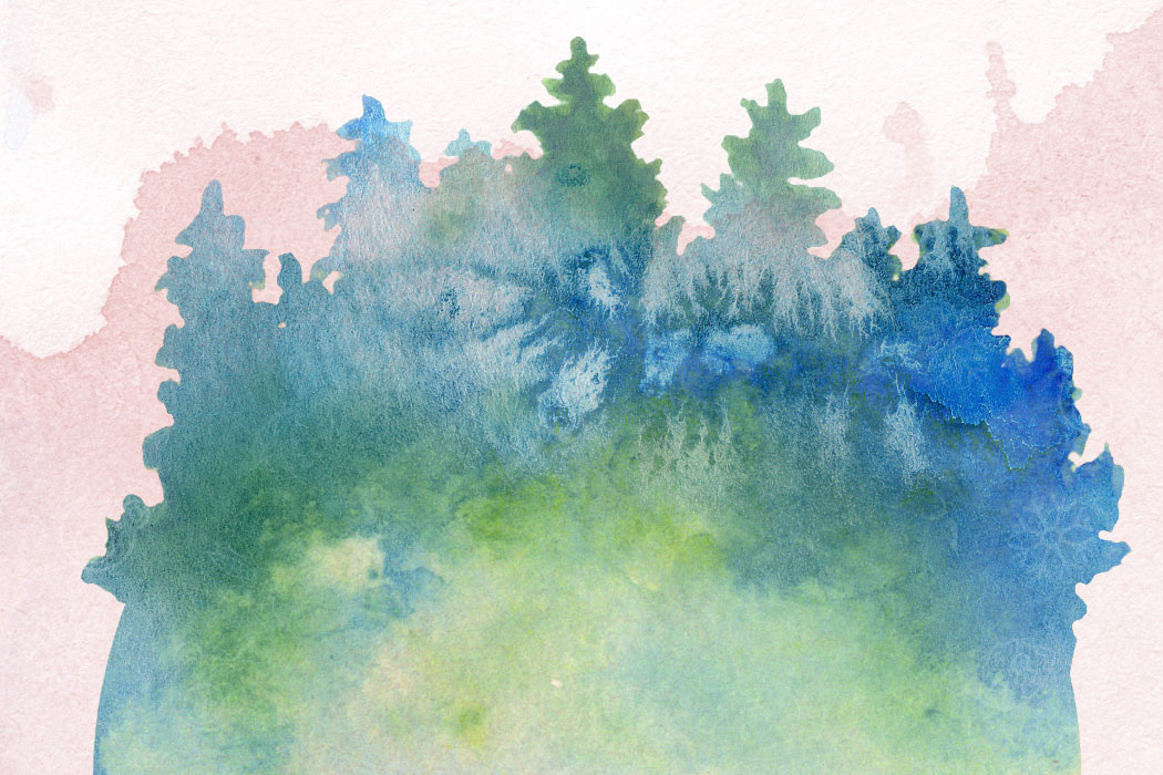 Metsää esittävä akvarellityö. 