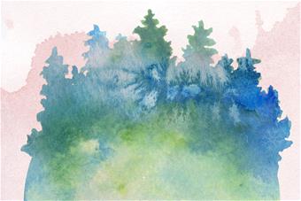 Metsää esittävä akvarellityö. 