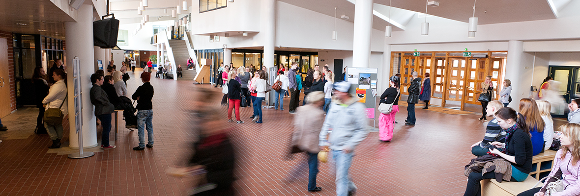 Esteetön yliopisto -sivulle