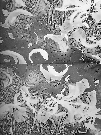 Maria Tuunanen: Fotogrammi 2016