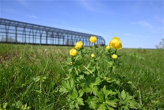 Suomen Akatemian rahoitus.jpg