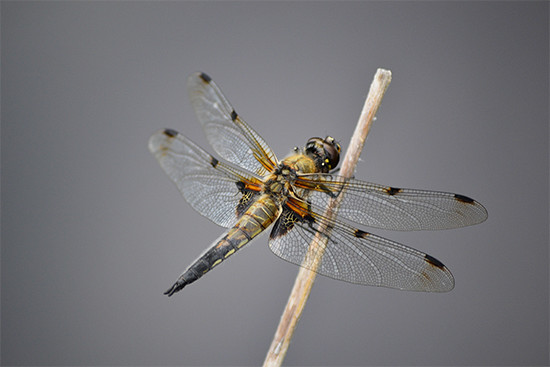 1. Yksi päivä One day_Tuure Aalto_www.jpg